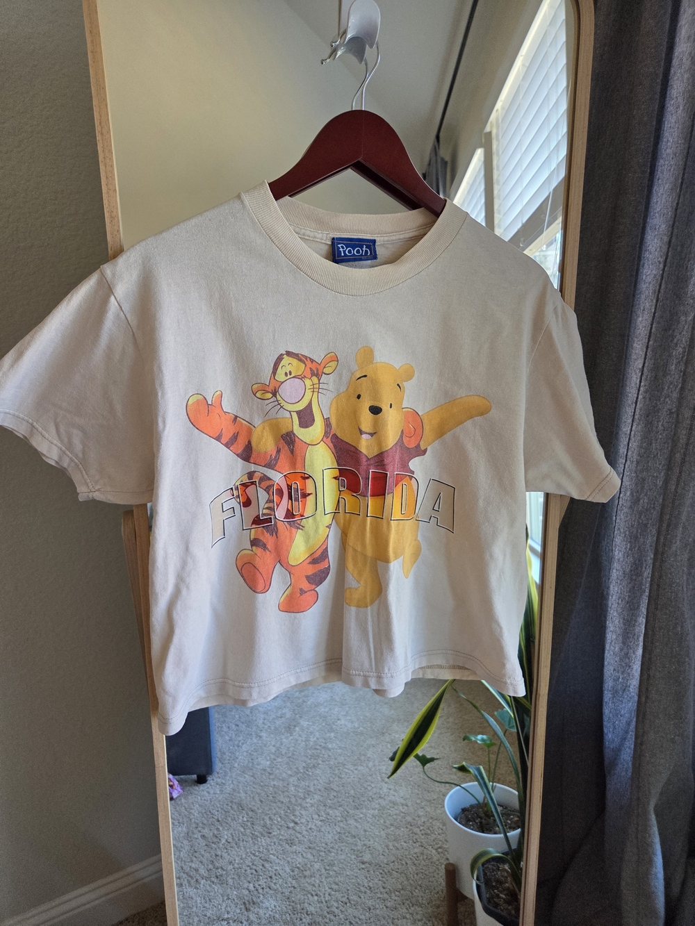 Vintage 90s Disney Winnie the Pooh Tigger Florida Graphic Tee Boxy Crop Size L
